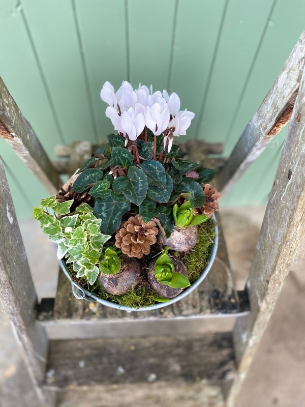 White Planter